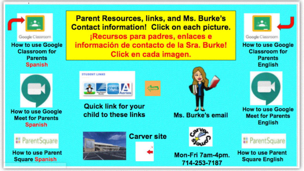 Burk Web tool 